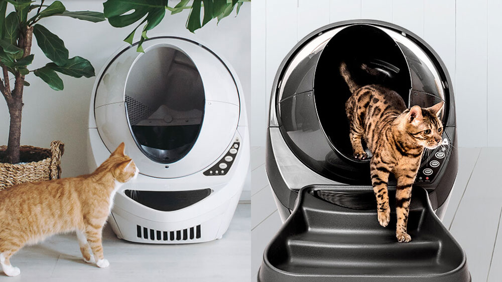 Paying Retail with No Regrets. The Litter Robot is a wonder.