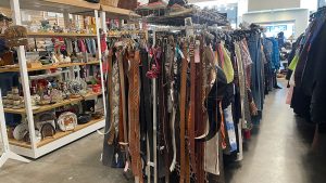 Trove’s Earth Day Sale Hot Sale Event Image